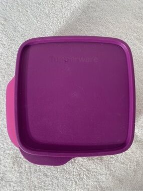 Tupperware Pink Lunch It Divided Container W Purple Lid